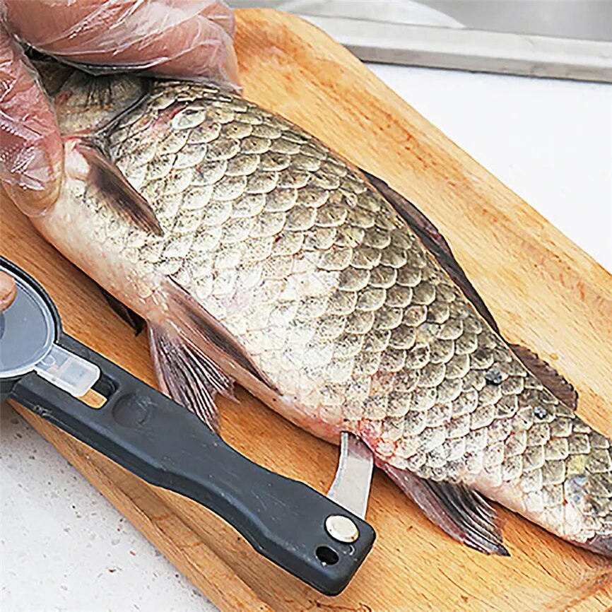 Practical Fish Scale Remover